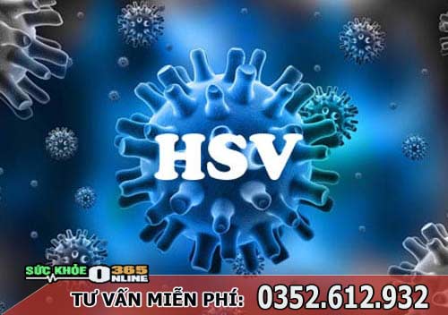 Virus HSV là gì? Xét nghiệm HSV ở đâu Hà Nội hết bao nhiêu tiền?